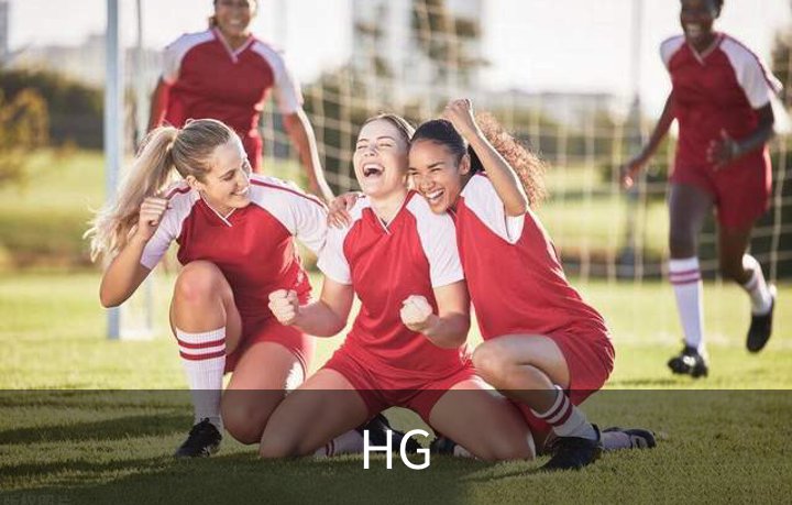 关于HG